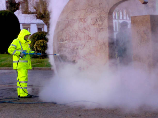 Best Roof Pressure Washing  in Waterloo, NE